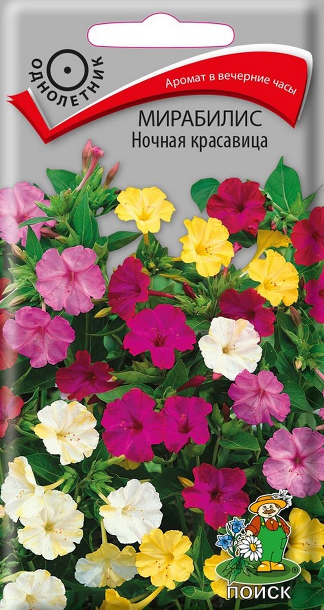 Мирабилис Ночная красавица, 2,5 г
