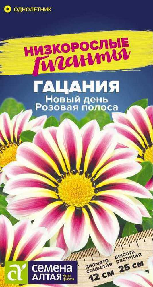 Гацания Новый день Розовая полоса, 5 шт. Низкорослые гиганты