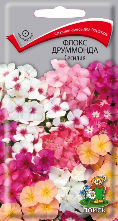 Флокс друммонда Сесилия, 0,3 г