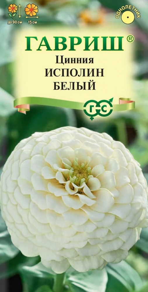 Цинния Исполин белый, 0,3 г
