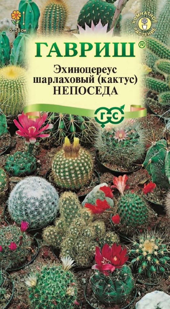 Кактус Непоседа смесь, 0,05 г