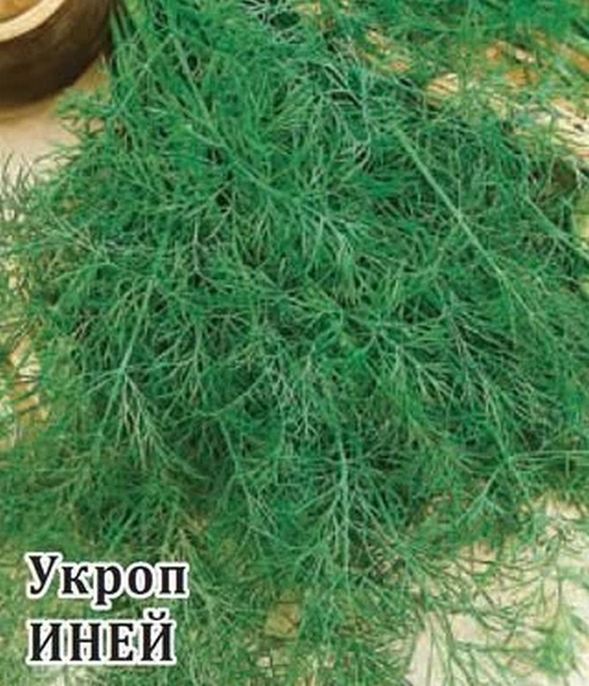Укроп Иней, 25 г. Фермерское подворье.