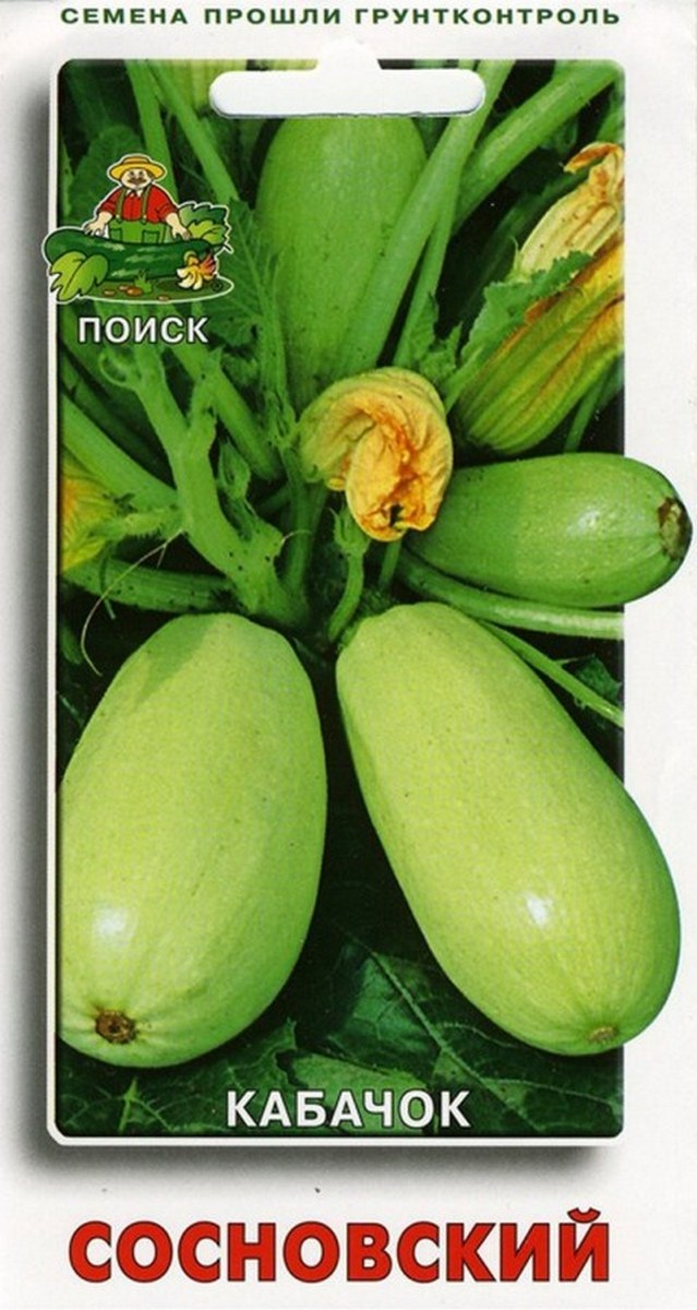Кабачок Сосновский, 12 шт.