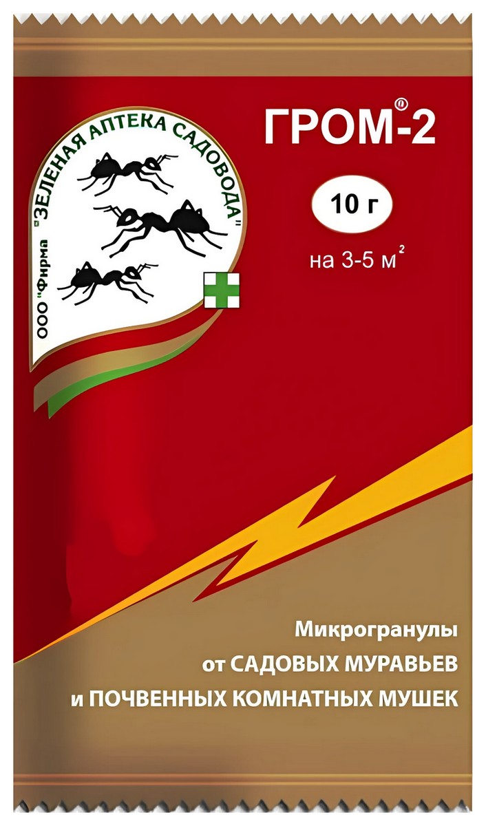Гром-2, 10 г