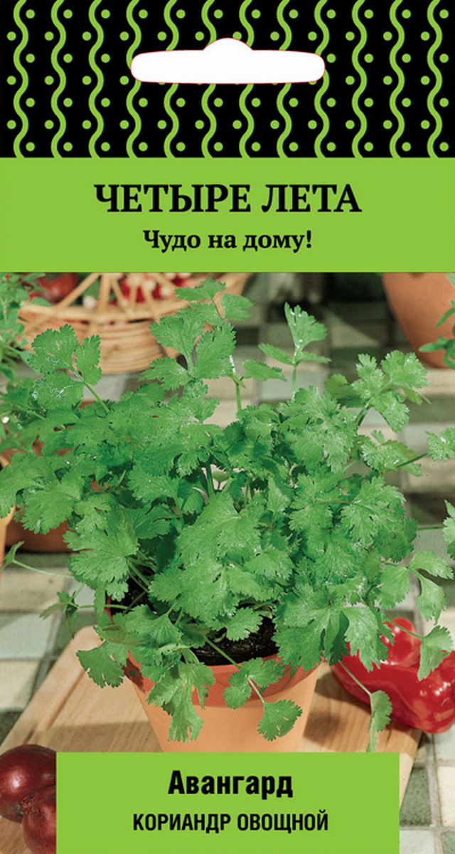 Кориандр овощный Авангард, 1 г Четыре лета