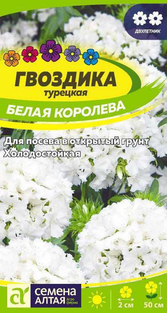 Гвоздика турецкая Белая Королева 0,2 г двулетник