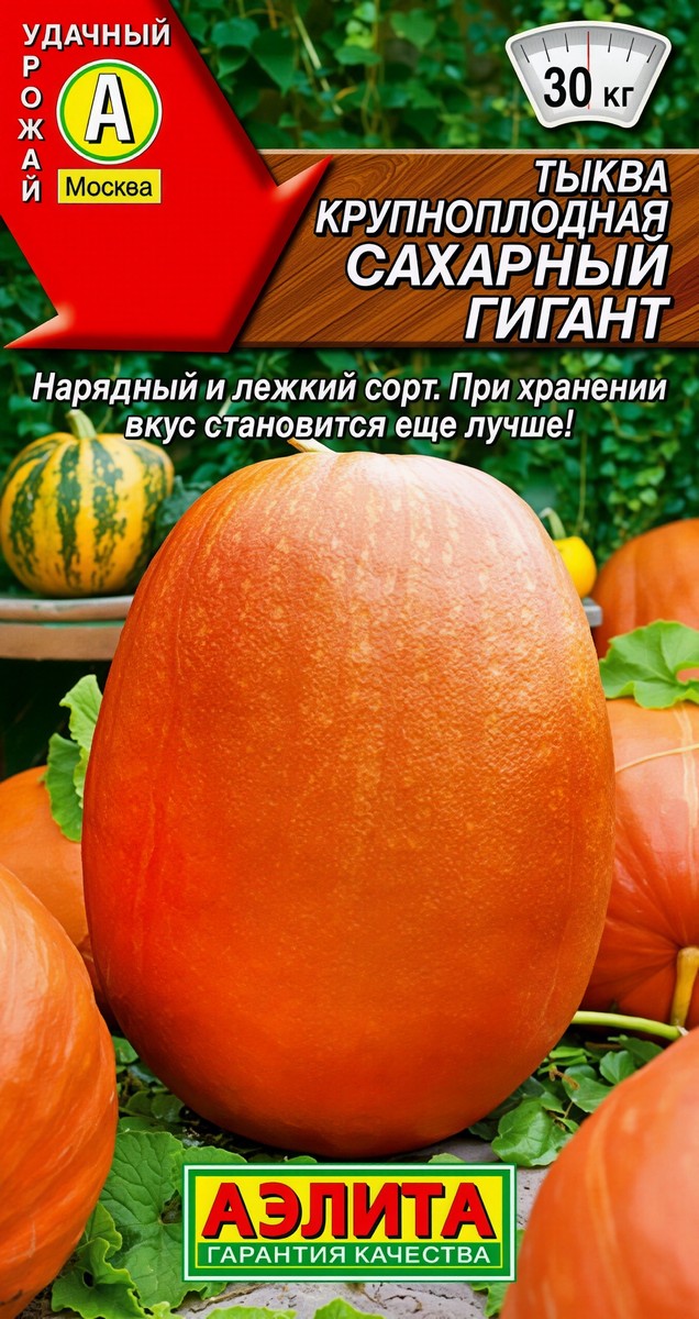 Тыква крупноплодная Сахарный гигант, 2 г