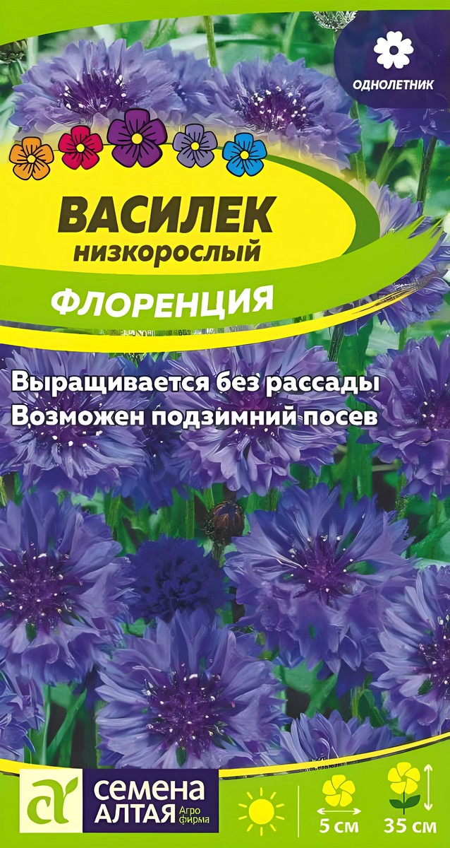 Василек низкорослый Флоренция, 0,2 г.