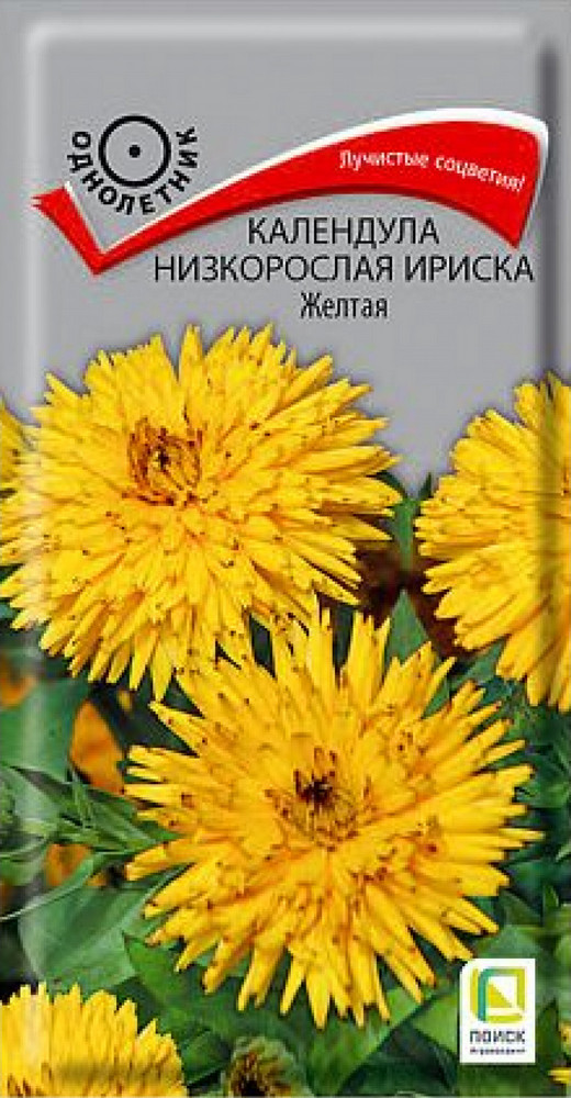 Календула низкорослая Ириска Желтая, 10 шт.