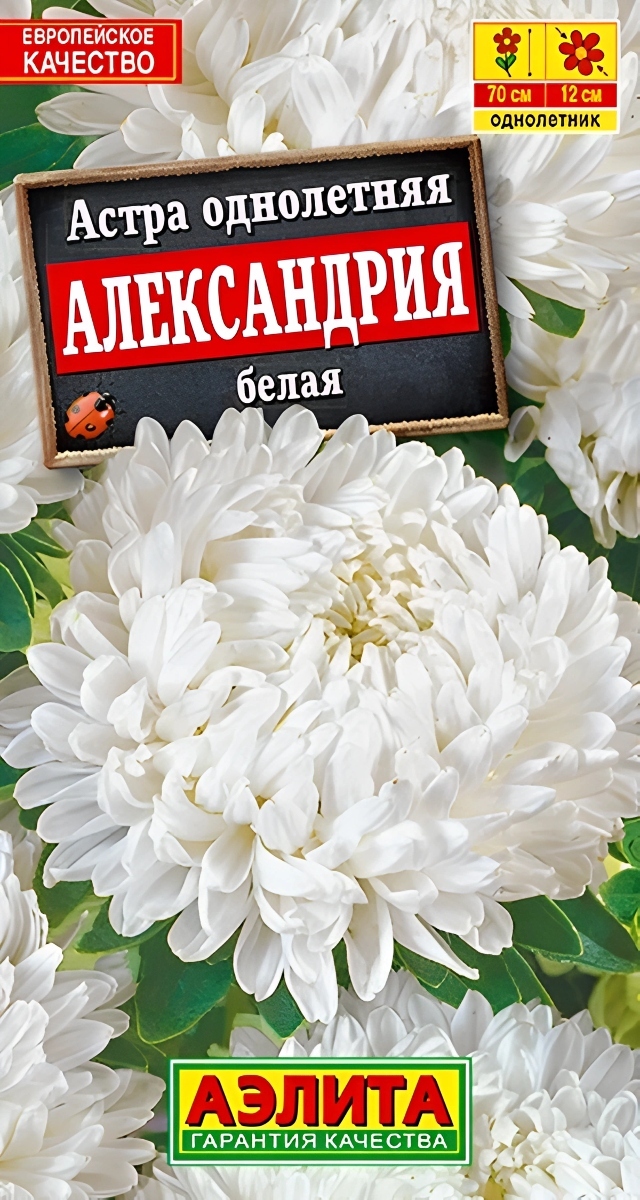 Астра Александрия, белая, 0,1 г