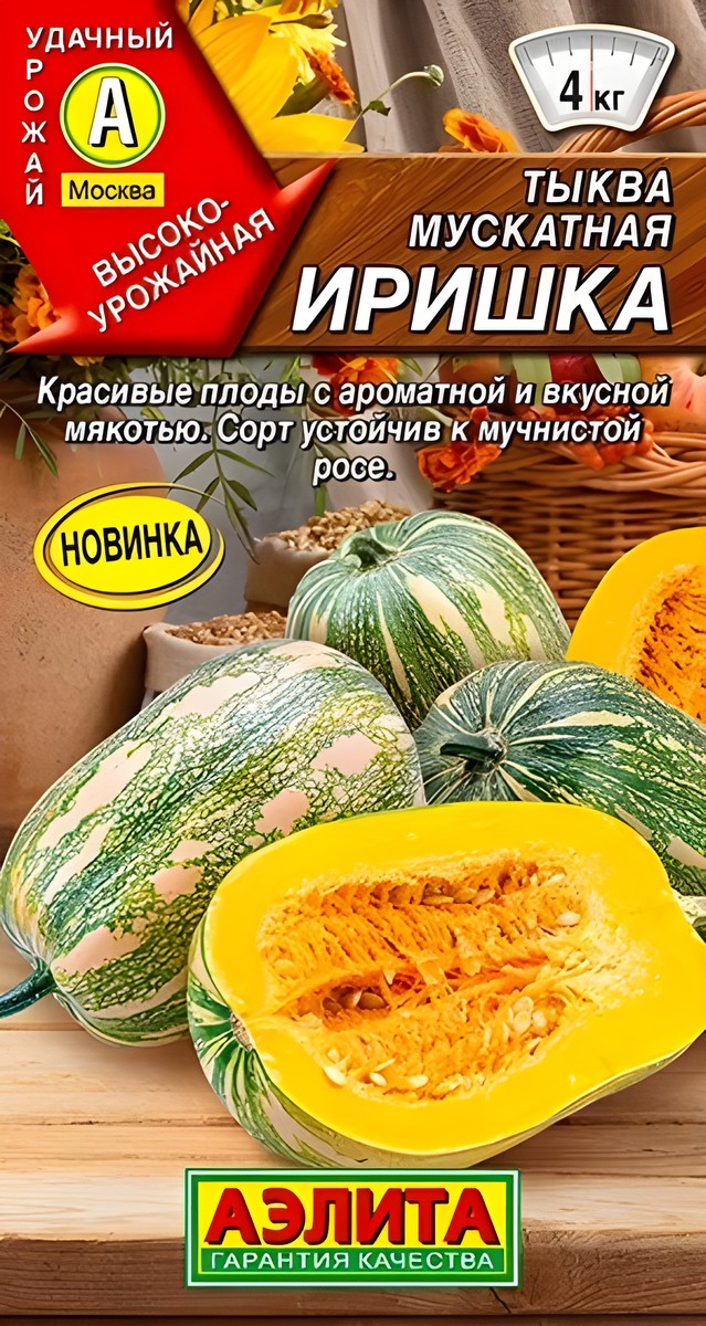 Тыква мускатная Иришка, 1 г