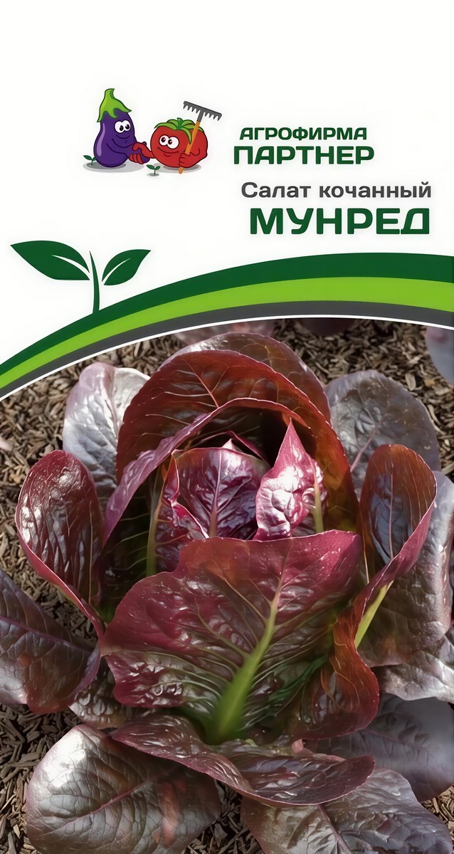 Салат кочанный Мунред, 15 шт. Агрофирма Партнер.