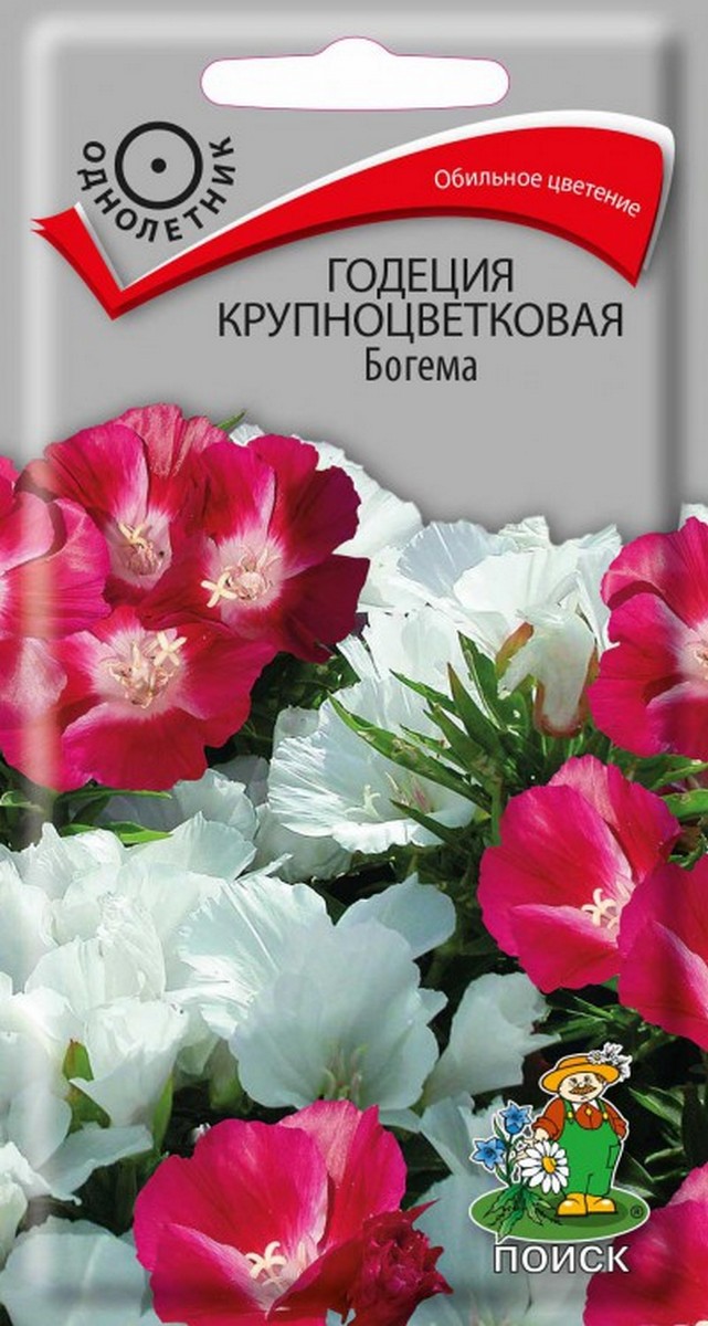 Годеция крупноцветковая Богема, 0,2 г
