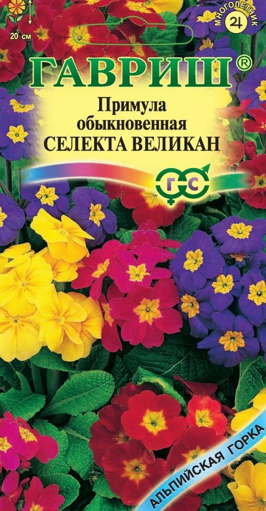 Примула Селекта Великан желтый, 10шт. Альпийская горка.