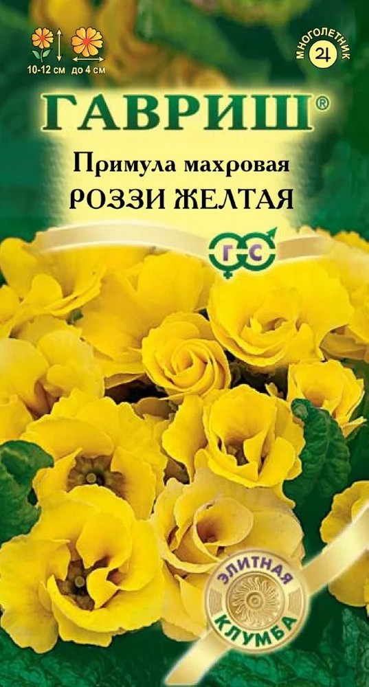 Примула махровая Роззи желтая, 3 шт. Элитная клумба.