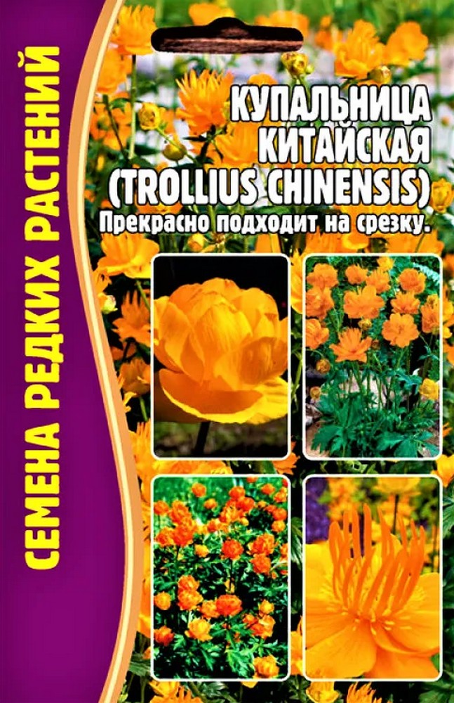 Купальница китайская (Trollius chinensis), 20 шт.