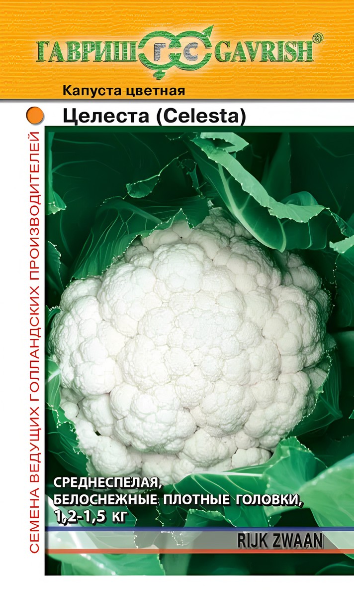 Капуста цветная Целеста, 10 шт. Голландия.