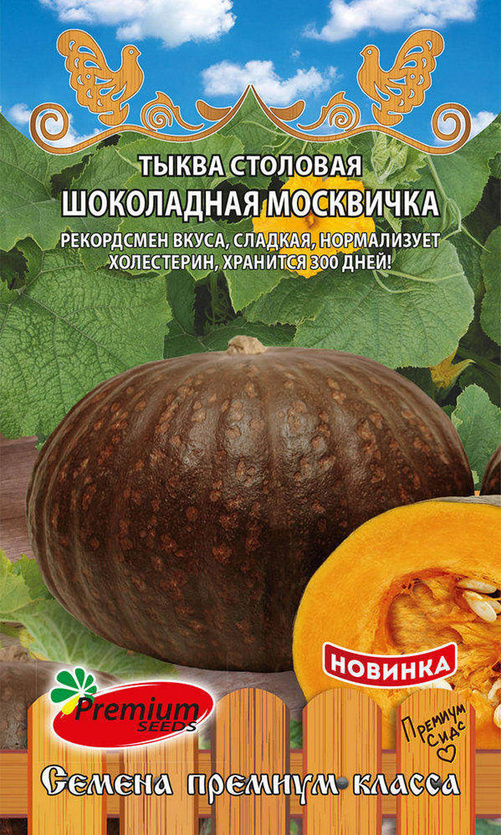 Тыква Шоколадная москвичка, 7 шт.