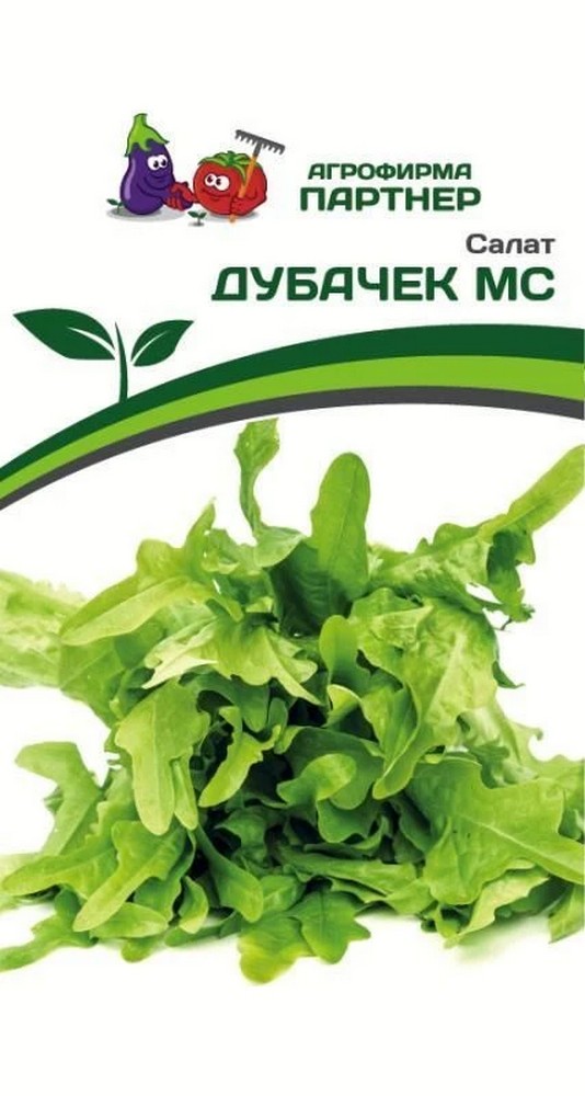Салат листовой Дубачек, 0,5 г. Агрофирма Партнер.