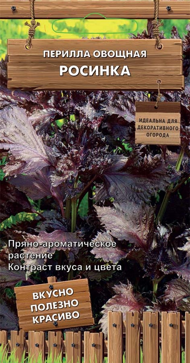 Перилла овощная Росинка,  0,02 г. Декоративный огород.