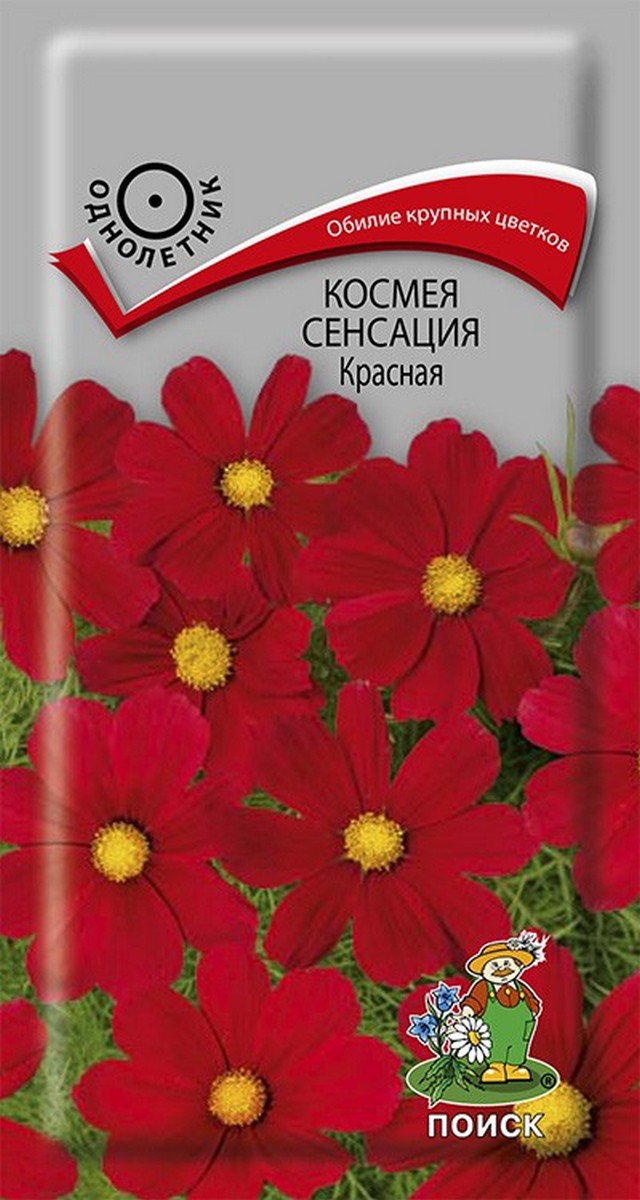 Космея Сенсация Красная, 0,3 г