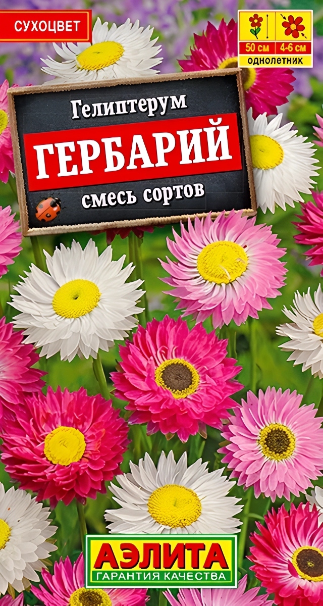 Гелиптерум Гербарий, смесь, 5 шт.