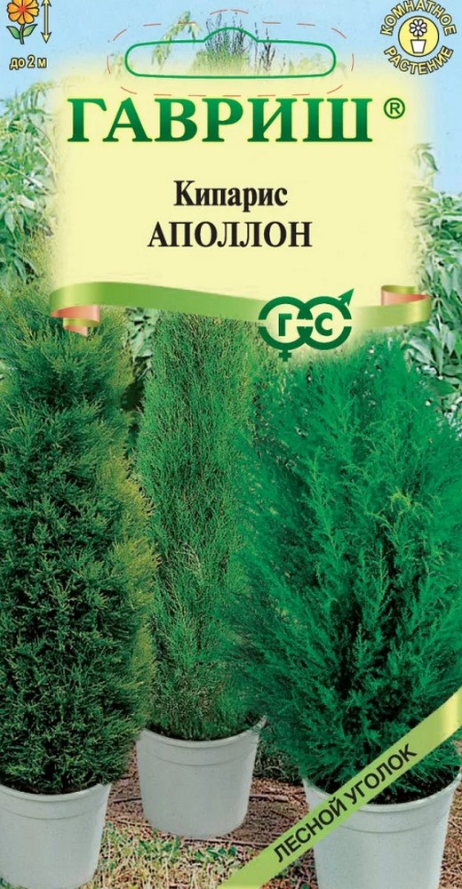 Кипарис Аполлон (вечнозеленый), 0,1 г