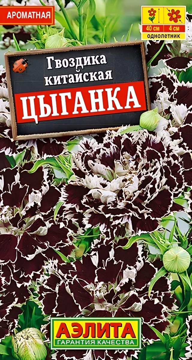Гвоздика Цыганка, китайская 0,05 г