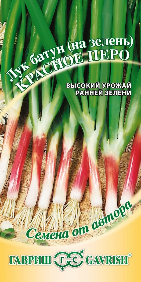 Лук батун Красное перо, 1 г. Авторские семена. 