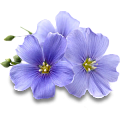 Лен