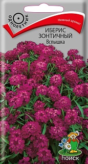 Иберис зонтичный Вспышка, 0,3 г