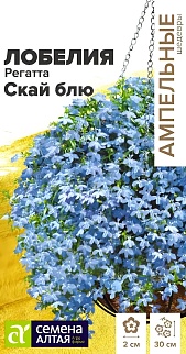 Лобелия Регатта Скай блю ампельная, 5 шт. Ампельные Шедевры. 