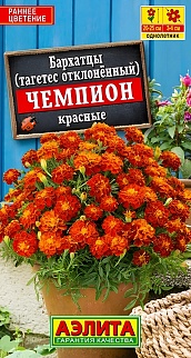 Бархатцы Чемпион красные отклоненные, 0,1 г