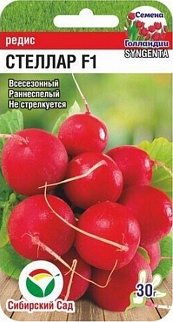 Редис Стеллар F1, 60 шт. Семена Голландии . Сибирский сад