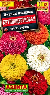 Цинния Крупноцветковая горшечная, смесь сортов, 12 шт.