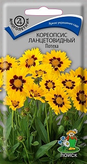 Кореопсис ланцетовидный Потеха, 0,1 г