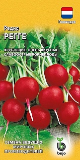 Редис Регге, 1 г. Голландия.
