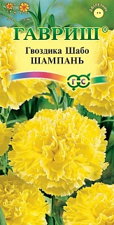 Гвоздика садовая Шабо Шампань, 0 ,05 г