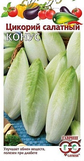Цикорий салатный (Витлуф) Конус, 0,1 г