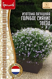 Изотома Голубое Сияние Звёзд пазушная, Starshine Blue, 3 шт. драже.
