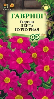 Георгина Лента пурпурная, 0,2 г 
