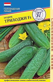 Огурец Трилоджи F1, 5 шт. Голландская серия