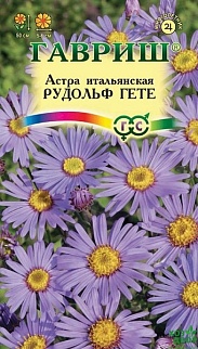 Астра итальянская Рудольф Гете,многолетняя, 0,1 г