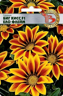 Газания Биг Кисс F1 Ело Флейм, 7 шт. Биотехника