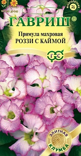 Примула махровая F1 Роззи с каймой, 3шт. Элитная клумба.