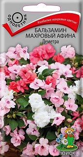 Бальзамин махровый Афина Деметра 5 шт.