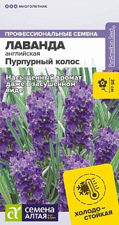 Лаванда Пурпурный колос английская, 5 шт.