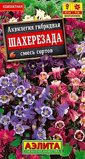 Аквилегия Шахерезада, 0,1 г