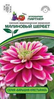 Цинния "Барышня-крестьянка" Малиновый щербет, 5 шт. Агрофирма Партнер.