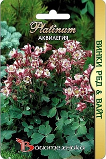 Аквилегия Винки Ред & Вайт, 10 шт. Platinum  Биотехника